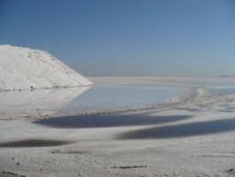 دریاچه حوض سلطان قم میزبان گردشگران می شود