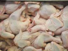صدور مجوز واردات 6 هزار تن مرغ منجمد به قم