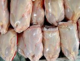تشکیل 54 پرونده تخلف فروش مرغ در قم