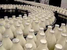 تولید شیر خام در قم به یک سوم کاهش یافته است