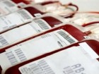 بیش از 17 هزار نفر اهدا کننده مستمر خون در قم وجود داشته است