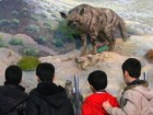 بازدید 325 هزار نفر از موزه تاریخ طبیعی قم در سال 91