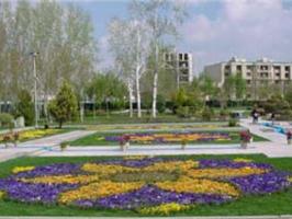 کاشت بیش از 2 هزار اصله نهال و گل در بوستان‌های پارک‌سوارهای قم