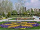 کاشت بیش از 2 هزار اصله نهال و گل در بوستان‌های پارک‌سوارهای قم
