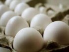 2500 کیلوگرم تخم مرغ فاسد در قم کشف شد
