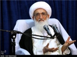 بیداری اسلامی در جهان نشات گرفته از بیداری علمای ایران است