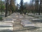 دفن اموات در آرامستان‌های داخل شهر قم غیرقانونی است