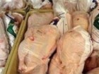 توقیف 20 تن مرغ زنده فاقد مجوز در کشتارگاه‌ها