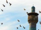 مسجد، محور برنامه‌های شورای شهر است