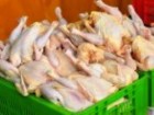 ۱۸۰۰ تن مرغ در سردخانه‌های قم ویژه عید نوروز ذخیره شده است