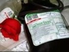 ۲۰ درصد مازاد خون اهدایی قم به سایر استان‌ها صادر می‌شود