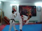 کناره گیری مربی کاراته باشگاه ایثار سازمان فرهنگی ورزشی شهرداری قم