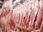 معدوم سازی 155 تن گوشت غیر قابل مصرف در قم