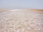 ضرورت تخصیص حق آبه زیست محیطی برای دریاچه نمک