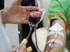 اهدای خون بیش از 8 هزار نفر در استان قم