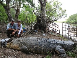 شکار یک تمساح 5 متری با 800 کیلو وزن+ تصاویر