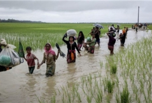 ورود هیأت حقیقت یاب سازمان ملل برای بررسی اوضاع میانمار