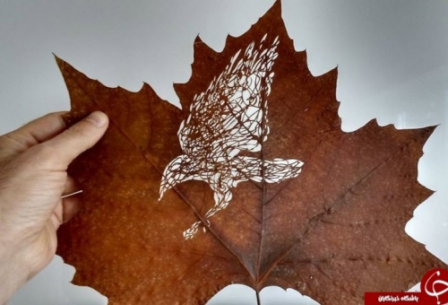 نقاشی‌های خارق‌العاده هنرمند ایرانی روی برگ درختان