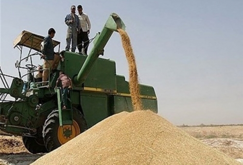 احتمال افزایش قیمت خرید تضمینی از کشاورزان