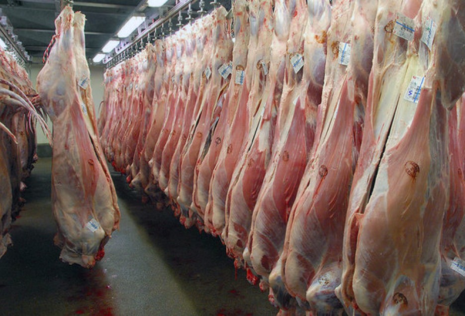 دامداران قم در آستانه ورشکستگی هستند/ علت گرانی گوشت