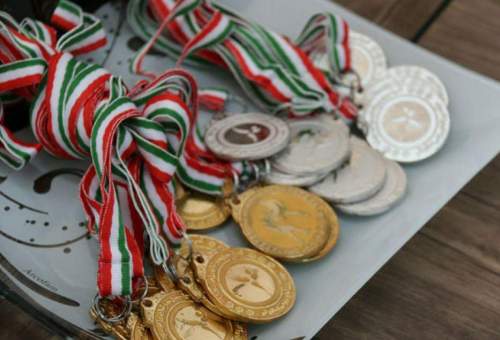 کسب ۷ مدال توسط دختران رزمی کار قم در مسابقات کشوری