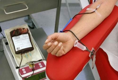 16604 تن در قم خون اهدا کردند