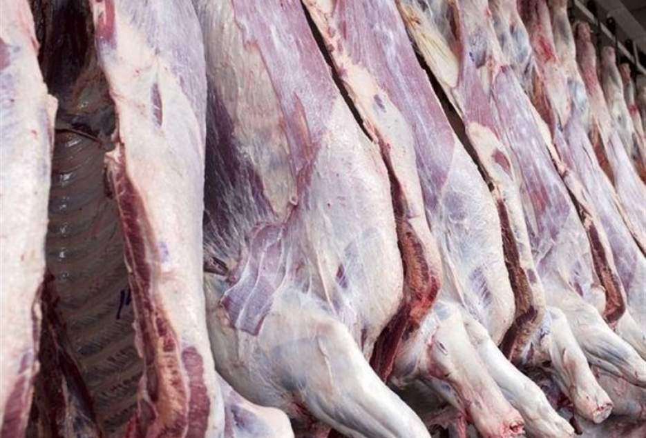 ورود ۱۰۳ هزار تن گوشت گاوی به کشور