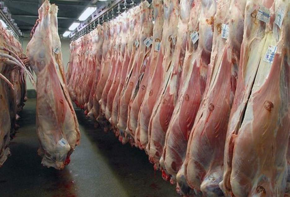 پای سودجویان به عرضه گوشت‌های وارداتی در قم باز شد؛ خریدی آسان و درآمدی پرسود