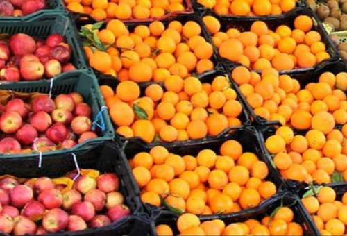رئیس سازمان صنعت، معدن و تجارت استان قم: ذخیره سازی 700 تن پرتقال برای میوه شب عید مردم قم