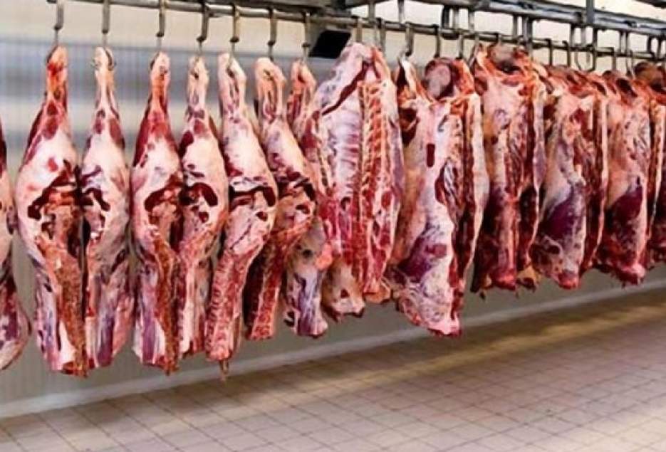 افزایش نگران کننده قیمت گوشت و مرغ/مدیران قیمت بالای مرغ و گوشت را توجیه نکنند