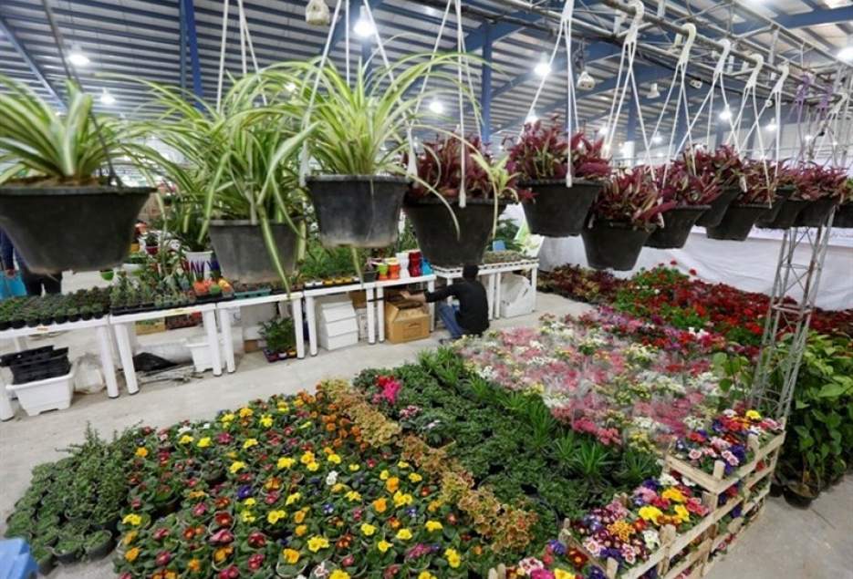 نمایشگاه گل و گیاه استان قم برپا شد