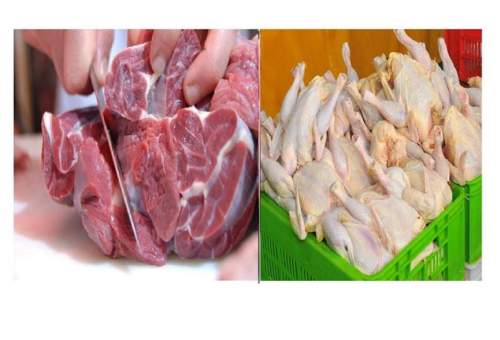 کلاف سردرگم بازار مرغ؛ بخشی‌نگری و منفعت‌طلبی عامل اصلی گرانی گوشت مرغ در قم است