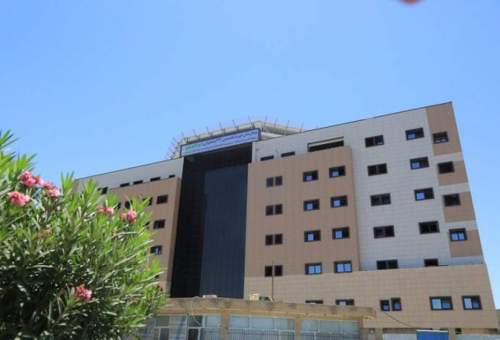 تأکید وزیر بهداشت بر رفع مشکلات بیمارستان امیرالمومنین(ع) قم