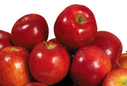 فایده سیب در تقویت ایمنی بدن و کاهش فشارخون