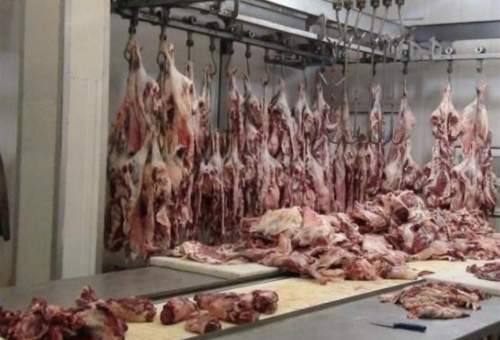چرا نرخ‌نامه قیمت گوشت در واحدهای قصابی قم نصب نشده است؟