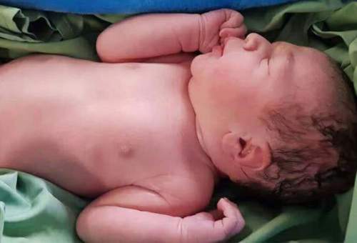 تولد نخستین نوزاد حاصل از تلقیح تخمک و اسپرم فریز شده در قم
