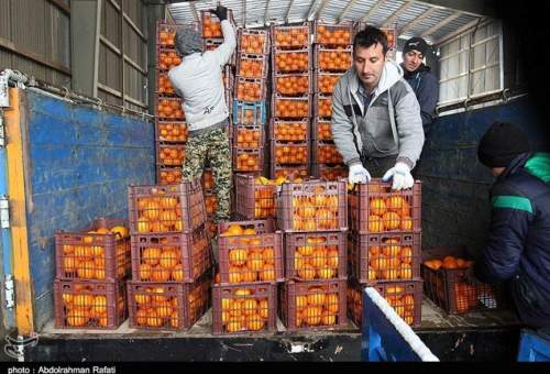 توزیع بیش از هزار تن میوه در ۲۵ غرفه نوروزی در قم