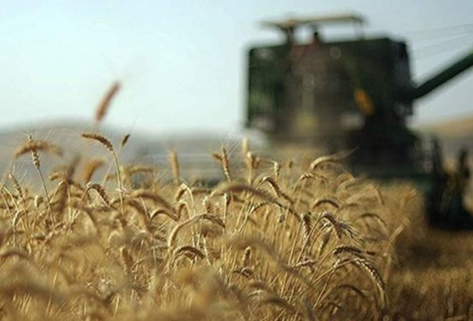رتبه نخست جهاد کشاورزی قم در ارزیابی های کشوری