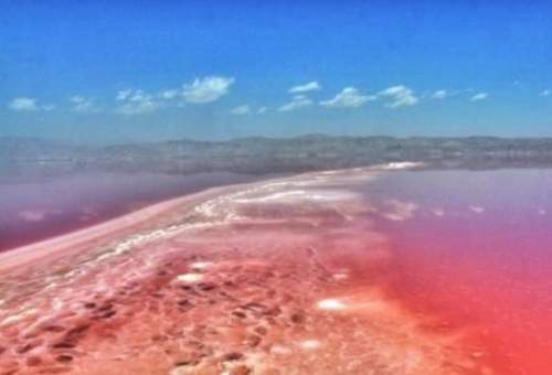 شکوفایی جلبکی، دریاچه نمک قم را قرمز کرد