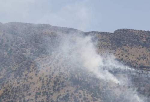 آتش‌سوزی مراتع علی‌آباد قم در ارتفاعات 2200 متری مهار شد