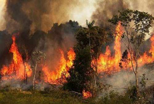 آتش سوزی مراتع در قم رو به افزایش است/ کمبود تجهیزات اطفای حریق