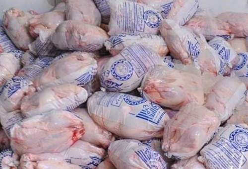 روزانه ۲۵ تن مرغ در استان قم توزیع می شود