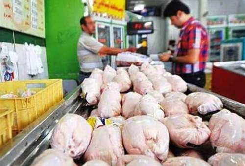عدم تأمین نهاده‌ها و کاهش جوجه ریزی گره کور در گرانی مرغ است