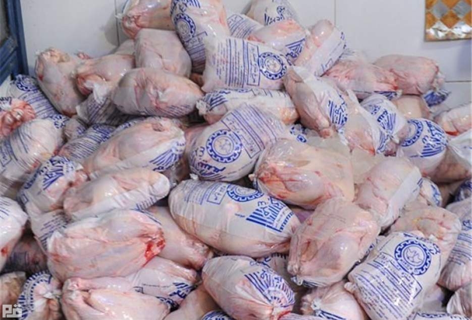 ۴۰۰ تن مرغ منجمد در قم توزیع می‌‎شود