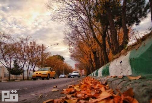 رهاسازی برگ‌های درختان خزان‌دار در بوستان‌های قم