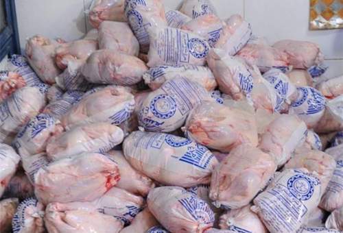 مرغ‌های منجمد بازار قم را گرم می‌کنند