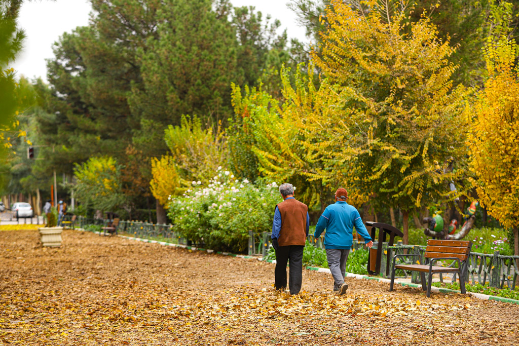 Beautiful autumn scenery in Qom parks