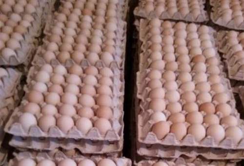 روزانه ۴۵ تن تخم‌مرغ در بازار قم تأمین شد