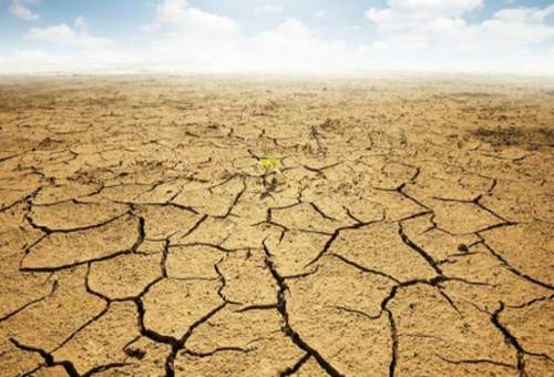 خشکسالی ۲۱ هزار میلیارد ریال خسارت به زراعت قم وارد کرد
