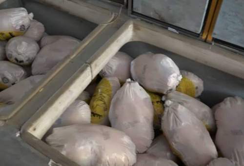 کشف احتکار بیش از 3 هزار کیلو مرغ در قم
